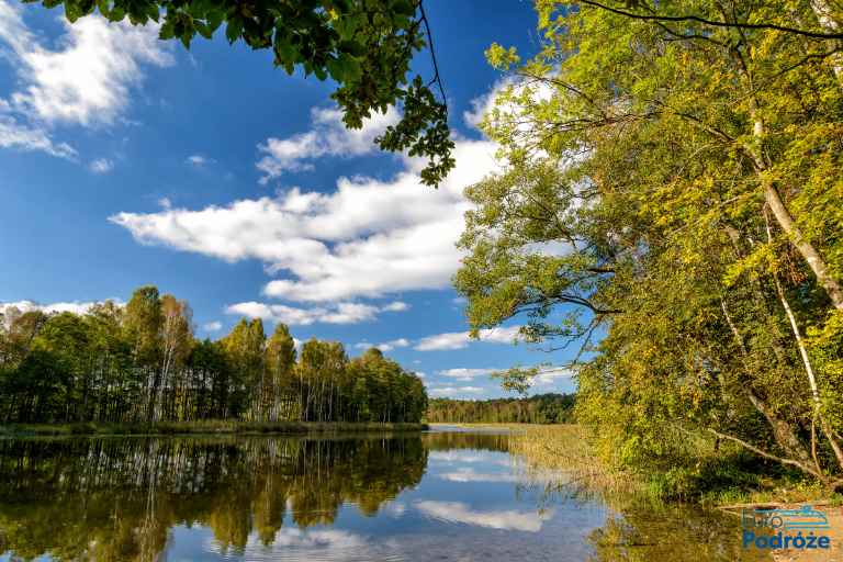 фото: озеро та ліс