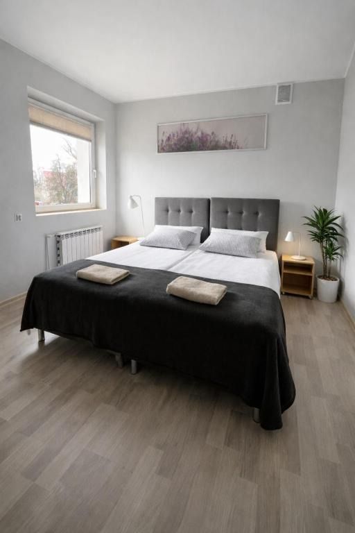 Apartamenty Adabet, житло біля вокзалу Кемпно