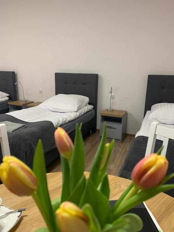 Hostel Adabet, житло біля вокзалу Кемпно
