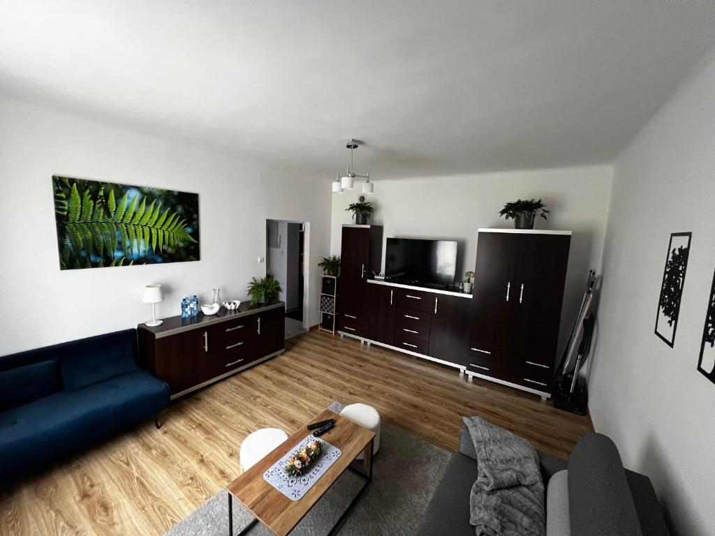 Apartament Paprotka, житло біля вокзалу Скаржиско Камєнна