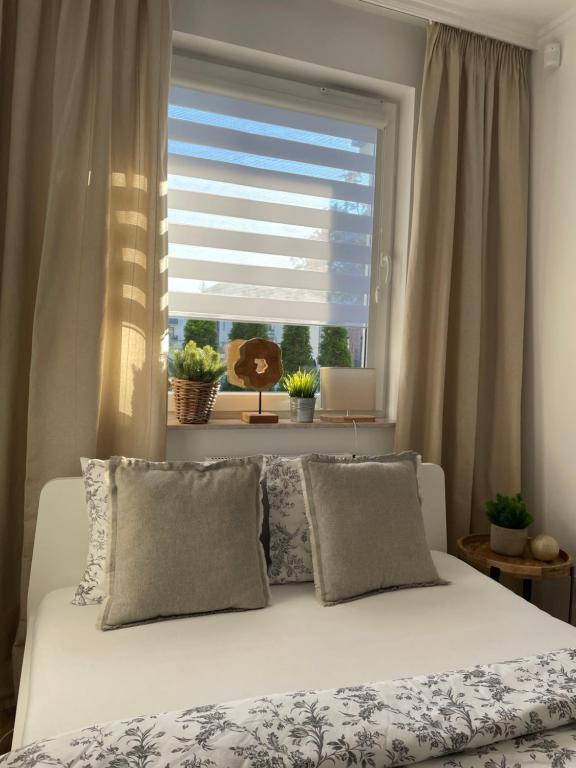 Apartament Stella Park, житло біля вокзалу Старгард