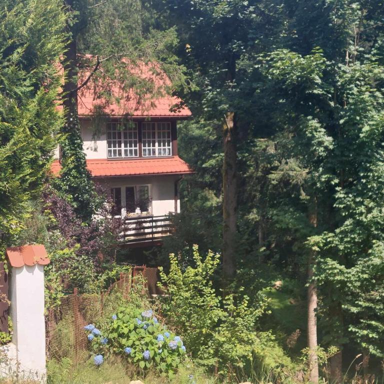 Beskidzka Apartments, житло біля вокзалу Суха Бескідзка Замок