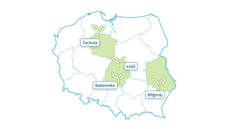Поворот ЛАГ провінції, де євротрейд висаджує дерева