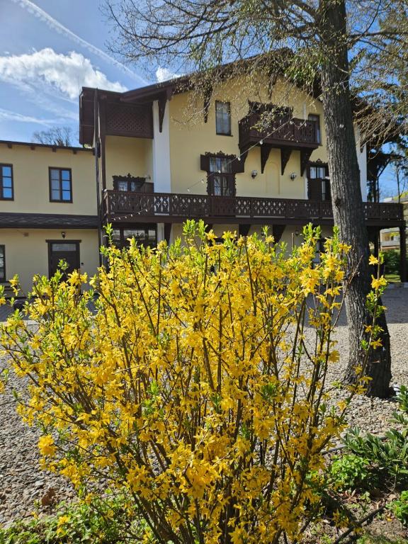 Villa Musik - apartments in historical Villa , Baden, житло біля вокзалу Wien Hauptbahnhof
