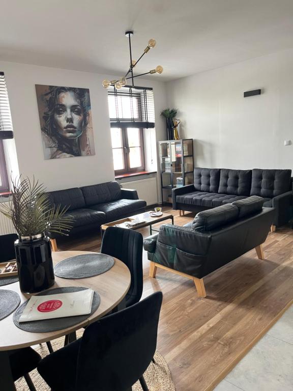 Apartamenty Łuczkowskiego z widokiem na Stary Rynek i Studnię 2, житло біля вокзалу Хелм