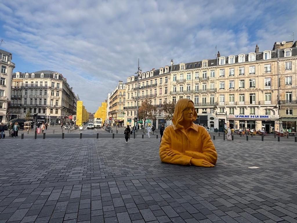 Studio en face de la Gare Lille Flandres, житло біля вокзалу Lille Flandres