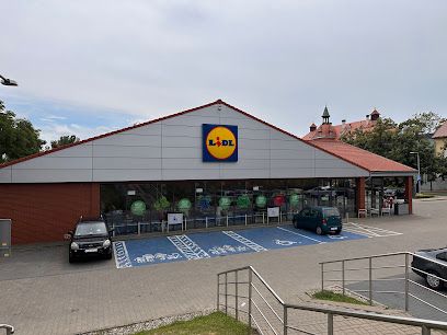 Lidl, магазин біля вокзалу Гожув Велькопольський Східни