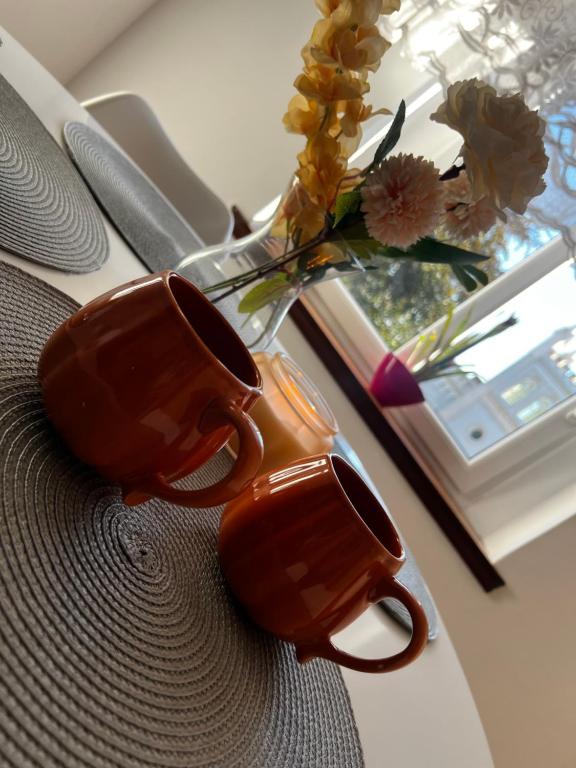 Apartament Wolności, житло біля вокзалу Явожина-Шльонська