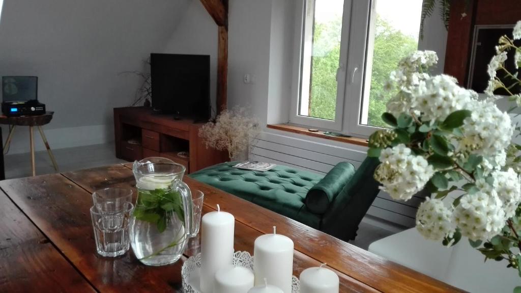 Brzoza i Świerk z widokiem na góry Apartament w centrum uzdrowiska przy Parku i Termach, житло біля вокзалу Єленя Гура Чепліце