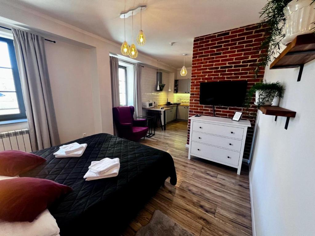 Apartamenty Łowicz, житло біля вокзалу Ловіч Глувни