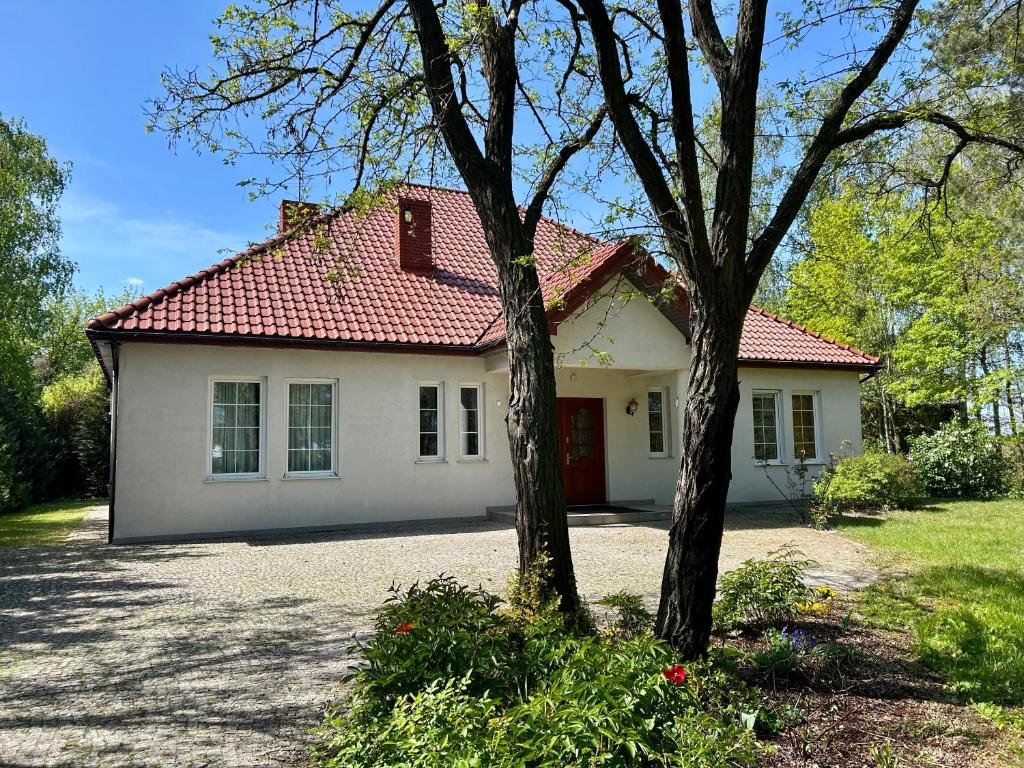 Villa Otolice obok Łowicza, 6 sypialni, balia, sauna, basen, snooker, 50 minut od Warszawy i Łodzi, житло біля вокзалу Ловіч Глувни
