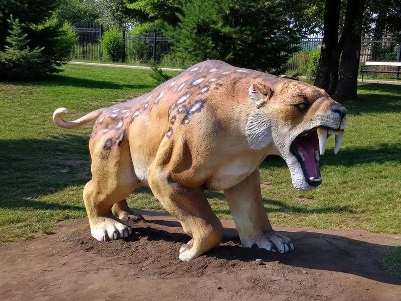 Zoo Lubin - Ogród Zoologiczny w Lubinie, atrakcja w pobliżu dworca Lubin