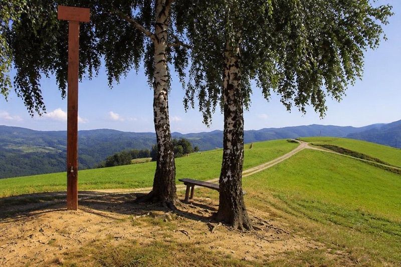 Brzozowy Gronik 536 m n.p.m., atrakcja w pobliżu dworca Rytro