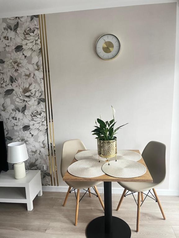 Apartament Rynek Strzelin, житло біля вокзалу Стшелін