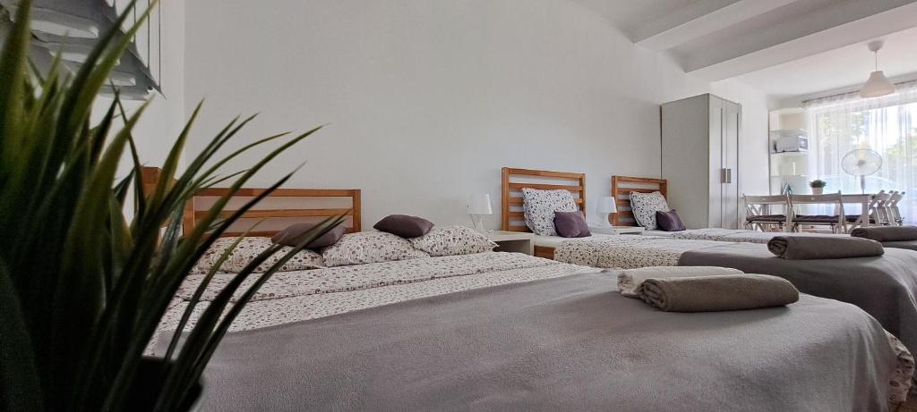 Apartament Na Szkolnej, житло біля вокзалу Затор Парк розваг